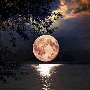 Meet your Posher, Adel